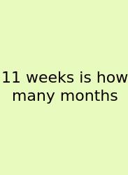 11 Weeks Is How Many Months