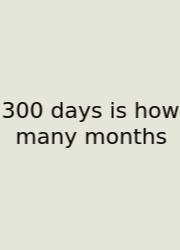 300 Days Is How Many Months