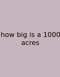 How Big Is A 1000 Acres