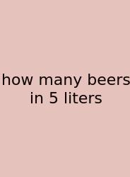 How Many Beers In 5 Liters