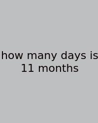 How Many Days Is 11 Months