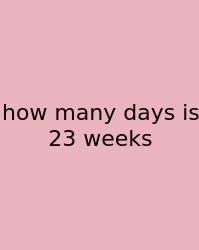 How Many Days Is 23 Weeks