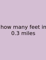 How Many Feet In 0.3 Miles