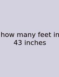 How Many Feet In 43 Inches