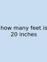 How Many Feet Is 20 Inches
