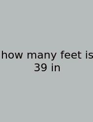 How Many Feet Is 39 In