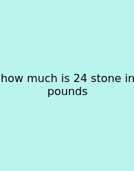 How Much Is 24 Stone In Pounds