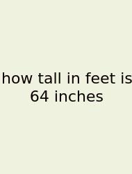 How Tall In Feet Is 64 Inches